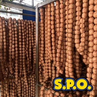 ชุดโดนใจ1 ไส้สั้น38/40จำนวน1โล 190 ไส้หมูแห้งหมักเกลือ สำหรับมือใหม่หัดทำ