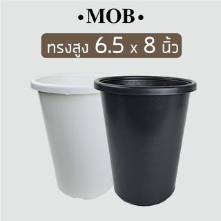 MOB กระถางทรงสูง 8 x 7 นิ้ว กระถางตอ กระถางไม้กราฟ หนา ทรงกระบอก กลม ขนาดใหญ่