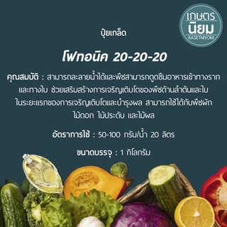 ปุ๋ยเกล็ด โฟทอนิค (ปุ๋ยเคมีสูตร 20-20-20) 1 กิโลกรัม