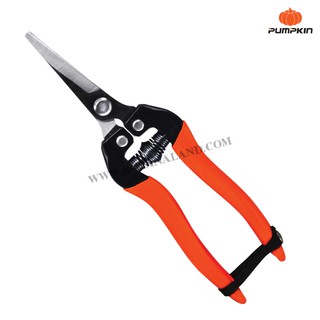 Pumpkin กรรไกรแต่ง/เล็มกิ่งไม้ ปากตรง no. PTT-248 ( #33510 )( Gardening Pruning Shear )