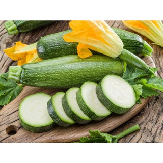 ซูกินี zucchini 10-30 เมล็ด  เมล็ดพันธุ์ เมล็ดนำเข้า [10 เเถม 1 คละได้]