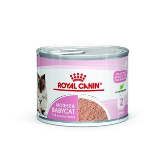 Royal Canin BabyCat can 195g อาหารเปียกสำหรับลูกแมวและแม่แมวตั้งท้อง Exp.02/2024