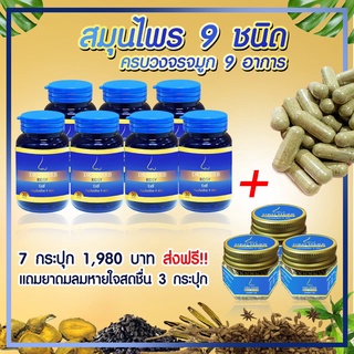 สมุนไพร 9 ชนิด DRD Herb Ridsy ริซซี่ ริดซี่ ( 7 กระปุก แถม เครื่องหอม 3 ชิ้น)