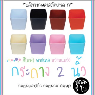 กระถาง 2 นิ้ว สีพาสเทล (ชุดละ 5 ใบนะคะ) กระถางต้นไม้ กระถางแคคตัส กระถางมินิมอล กระถางกระบองเพชร CACTUS