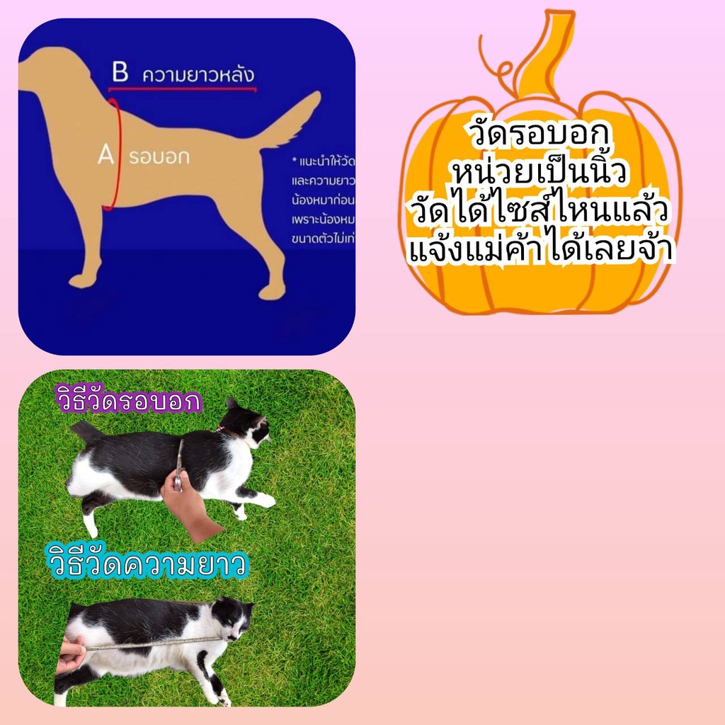 เสื้อเชิ้ต สุนัขไซส์ใหญ่ พร้อมส่ง ทรงหลวมใส่สบาย แฟชั้นฤดูร้อน เนื้อผ้าบางใส่สบายเบอร์7-11 - รูปที่ 6