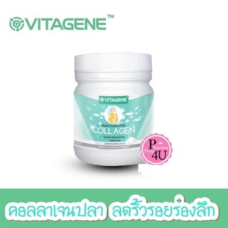 🐟แท้!!พร้อมส่ง🐟 VITAGENE HYDROLYZED FISH COLLAGEN วิตาจิเน่ ไฮโดรไลซ์ ฟิช คอลลาเจน