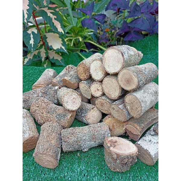 ไม้รมควันไม้ลำใยสวนออแกนิค Longon Wood##ไม้ลำใยหั่นท่อน กิโลกรัม 39บาท
