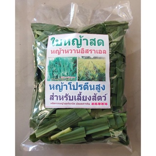 หญ้าสดอาหารสัตว์ หญ้าสับ (หญ้าหวานอิสราเอล) โปรตีนสูง (บรรจุ200กรัม)