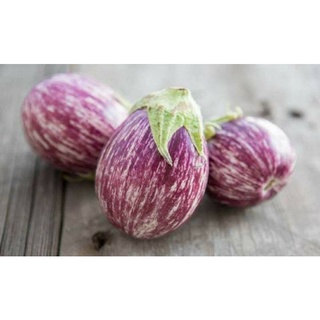 เมล็ดพันธุ์มะเขือลายอิตาเลียน นูเบีย Nubia Italian Eggplant Seed เมล็ดพันธุ์แท้คุณภาพดี นำเข้าจากต่างประเทศ