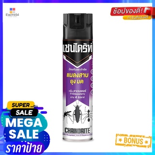 สเปรย์กำจัดแมลงสาบ CHAINDRITE 600 มล. กลิ่น LAVENDERCOCKROACH KILLER SPRAY CHAINDRITE 600ML LAVENDER