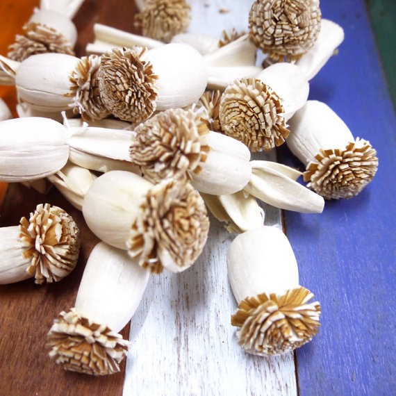 ดอกฝิ่น Opium Poppy Sola Wood Diffuser Flowers ขนาด 2.5 x 4 ซม