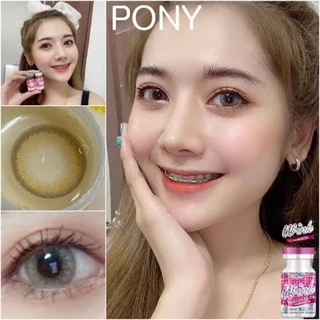 คอนแทคเลนส์🌈Pony🌈 Chestnut / Gray (Wink) ขนาดบิ๊กอาย💖ขายดี🍭