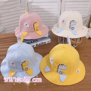 พร้อมส่ง หมวกเด็กการ์ตูนอายุ1_3ปีเด็กผู้หญิงและเด็กผู้ชาย LL0102