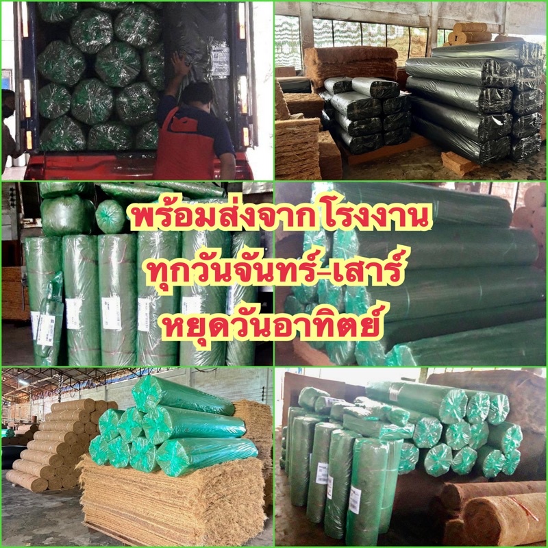 [พร้อมส่ง] ใยมะพร้าวขนาดหนา 1/2 นิ้ว 1x5, 1x10 เมตร สำหรับปลูกพืช คลุมดิน พันเสาไม้เลื้อย - รูปที่ 7