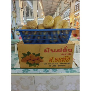 มันฝรั่ง ราคาส่ง กล่องละ 10 กิโลกรัม โดยประมาณ