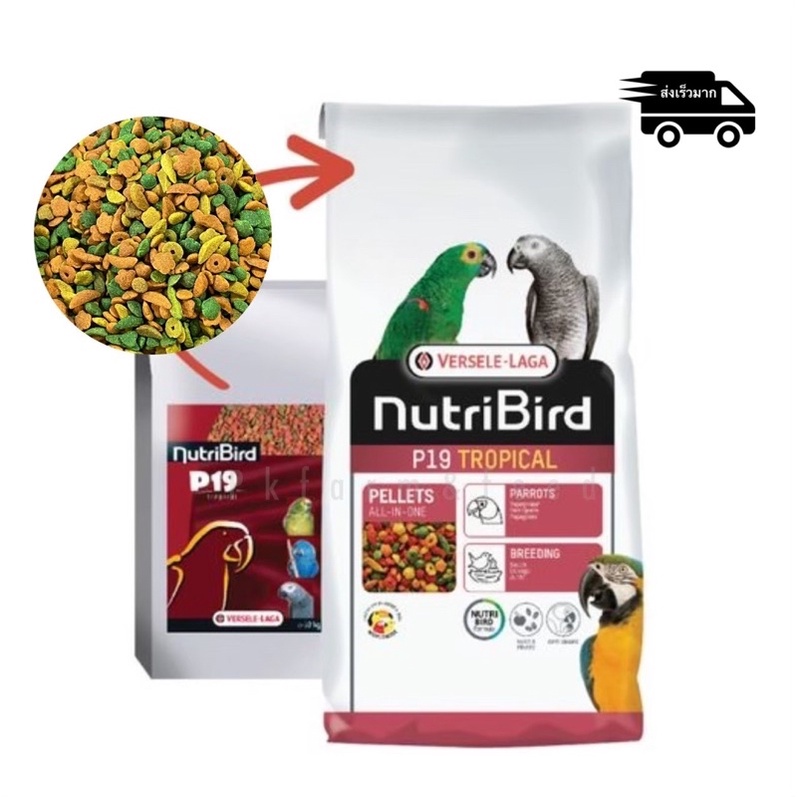 ⓅⓀⒻ (10kg.) NutriBird P19 tropical อาหารนก นูทรีเบิร์ดพี19 (แพคโรงงาน)