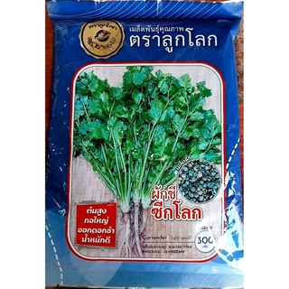 เมล็ดพันธุ์ ผักชี ตราลูกโลก💥01/2567💥บรรจุ 300 กรัม ต้นสูง กอใหญ๋ ออกดอกช้า น้ำหนักดี รากใหญ๋