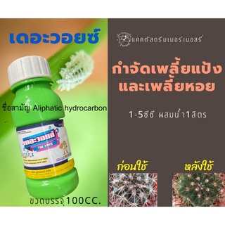 ลด50%ใส่โค้ดINCS83L -เดอะวอยซ์ (Aliphatic hydrocarbon)