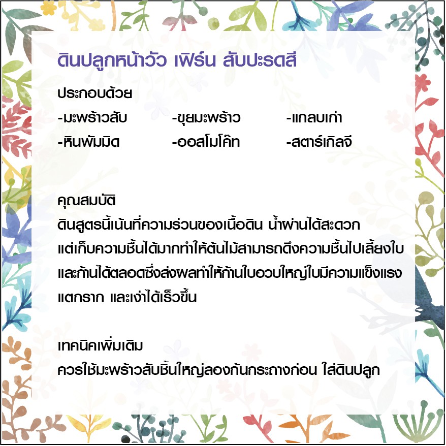ดินปลูกหน้าวัว-เฟิน-สับปะรดสี 3 กิโลกรัม ราคา ถูกที่สุด ดีลบีเคเค แกลเลอรีภาพที่ 2