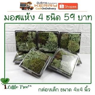 มอสแห้งกล่องเล็ก บรรจุ 4 ชนิด ขนาดและปริมาณของสินค้าตามที่ระบุไว้ อ่านก่อนสั่งซื้อ