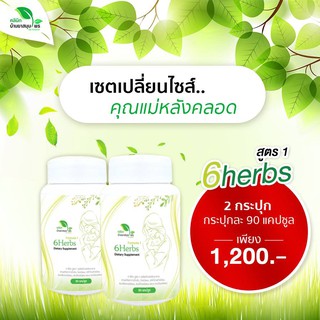 เซตเปลี่ยนไซส์แม่หลังคลอด 6herbs สูตร1 สมุนไพรหลังคลอด สมุนไพรบำรุงน้ำนม เพิ่มน้ำนม กระตุ้นน้ำนม เร่งเผาพลาญ ลดน้ำหนัก