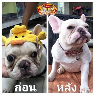 วีแคร์ยูอาหารสุนัขขนาดถัง 3 กิโล