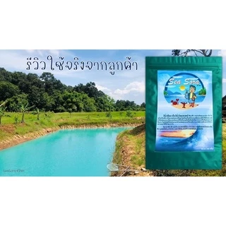 สีน้ำเทียม 250 กรัม Sea Sora (ผงเปลี่ยนสีน้ำเร่งด่วน)(สีฟ้าน้ำทะเล)(ผงทำสีน้ำทะเล) 250 กรัม