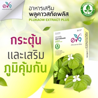 🔥ส่งฟรี🔥ของแท้ EV9 อาหารเสริมพลูคาวสกัด ต้าน  เพิ่ม Cd4 เสริมภูมิคุ้มกัน ชุด 4 และ 6 กล่อง