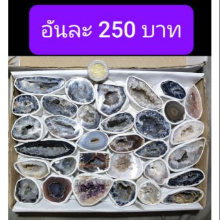 โพรงจีโอต อันละ 250 บาท