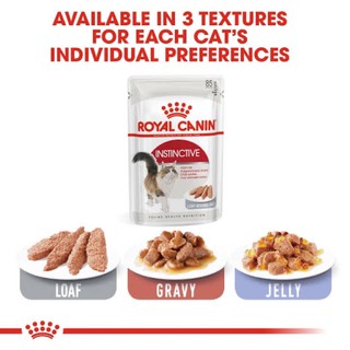 Royal Canin : Instinctive Gravy jelly loaf อาหารเปียก แมวโต อายุ 1 ปีขึ้นไป