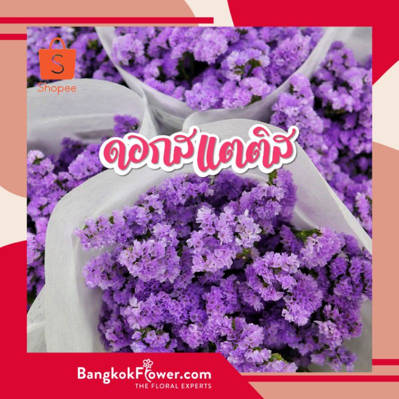 ดอกสแตติส (10 ช่อ/กำ) "200 B." ราคาปากคลองตลาด ส่งตรงสดๆ ถึงมือคุณ **รบกวนสอบถามสต็อกสีในแชทก่อนกดสั่งซื้อนะคะ