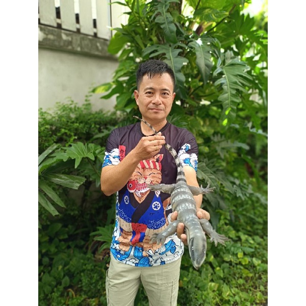 ตัวเงินตัวทองปลอม สัตว์ปลอม งานเเฮนด์เมค ขนาดรองยักษ์ ยาว 70 cm.