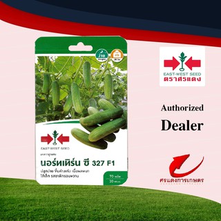 เมล็ดพันธุ์ตราศรแดง เมล็ดพันธุ์แตงกวาลูกผสม นอร์ทเทิร์นซี 327 F1 จำนวน 70 เมล็ด ปลูกได้ 20 ตร.ม.