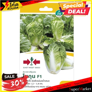 ผักกาดขาวปลี F1 โชกุน ศรแดง เมล็ดพันธุ์ CHINESE CABBAGE SEED EAST-WEST SEED SHOGUN F1 ต้นไม้และเมล็ดพันธุ์
