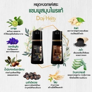 DayHerb แชมพูปิดผมขาว สมุนไพรแท้ ปิดหงอก Day Herb ลดหงอก ผมดำใน 5 นาที