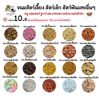 🦔ลงขนมใหม่ ขนมแฮมเตอร์ อาหารแฮมสเตอร์ ชูการ์ กระรอก กระต่าย เม่น ดอร์เมาส์ สัตว์ฟันเเทะอื่นๆ