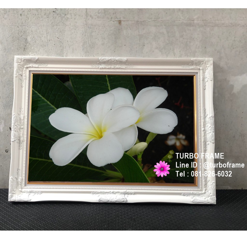 กรอบรูปหลุยส์สีทอง สีขาว 16x20” 16x24” 20x24” 20x30”