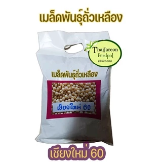 เมล็ดพันธุ์ถั่วเหลืองพันธุ์เชียงใหม่ 60 ขายตามน้ำหนัก ถั่วแระไทย เพาะถั่วงอกหัวโตแบบในอาหารเกาหลีได้