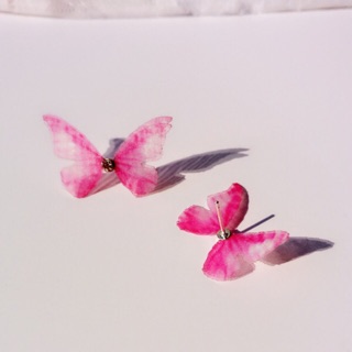 Butterfly Series : 06