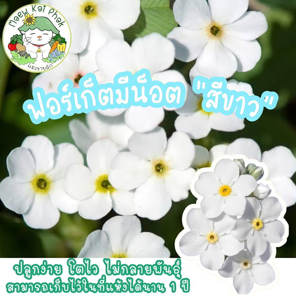 My Image 15