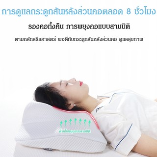 หมอนน้ำยาง ปกป้องคอ การนอนหลับที่สบาย ปลดปล่อยความเครียด