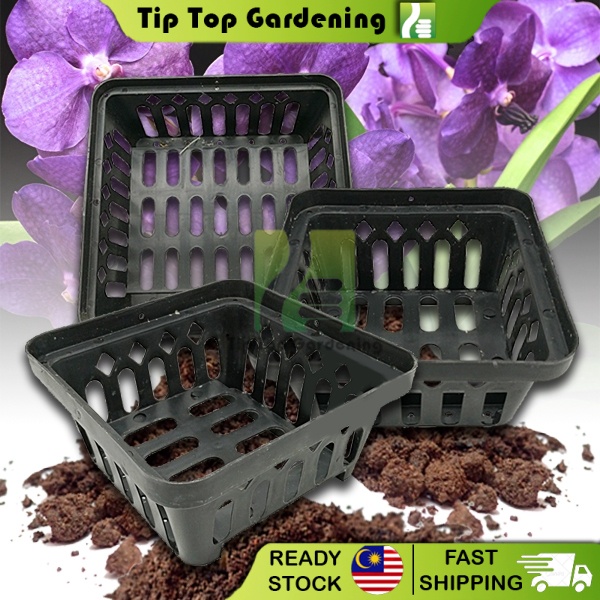 Pasu Bunga Orkid Pokok Tumbhan / Orchid Flower Pot Garden Plant Square Pot
