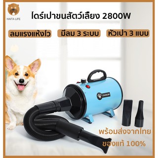 ไดร์เป่าขน 2800W รุ่นใหม่ ไดร์ขนสุนัข ไดร์เป่าขนแมว เครื่องเป่าขน ไดร์ไล่น้ำ ไดร์ขนสุนัข ไดร์เป่าขนหมา เครื่องเป่าขน