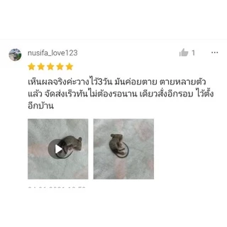 เหยื่อกำจัดหนู ขนาด 50-60 เม็ด เหยื่อกำจัดหนูสูตรตายแห้ง ไม่มีกลิ่น สะตอมกำจัดหนู สะตอมยาเบื่อหนู สตฟ้า