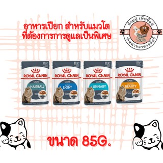 royal canin อาหารเปียก สำหรับแมวโต ที่ต้องการการดูแลเป็นพิเศษ