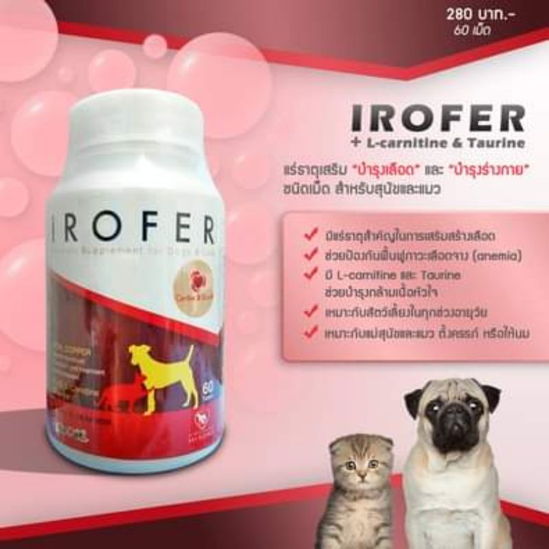 วิตตามินบำรุงเลือด Irofer 60 tabs สำหรับสุนัขและแมว