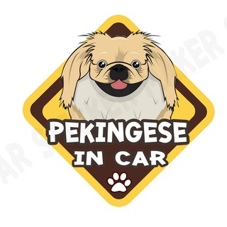 สติกเกอร์ติดรถ สติ๊กเกอร์ติดรถยนต์ สติกเกอร์หมา DGA146  Pekingese dog