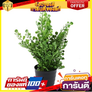 🌈BEST🌈 ต้นไม้ประดิษฐ์ใบเขียว  TYP-01A ARTIFICIAL PLANT SPRING TYP-01A 🛺💨