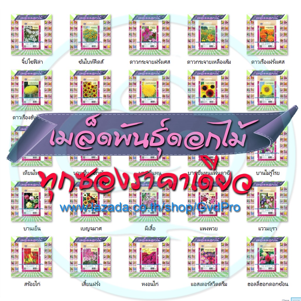 เมล็ดพันธุ์ดอกไม้[กดปุ่มเพิ่มไปยังรถเข็น จะมีรายการสินค้าให้เลือก] ราคาเดียวทุกชนิด สามเอ เจียไต๋ ดอกไม้ ซองมาตรฐาน
