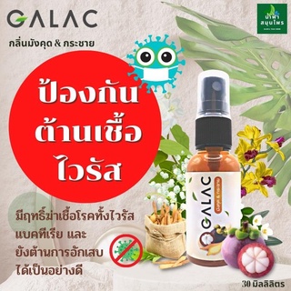 GALAC สเปรย์กระชาย กระชายขาว 30 mL ต้านเชื้อ สเปรย์พ่นคอ  สเปรย์ สเปรย์แก้เจ็บคอ สมุนไพรเข้มข้น30 ml. ส่งเร็ว